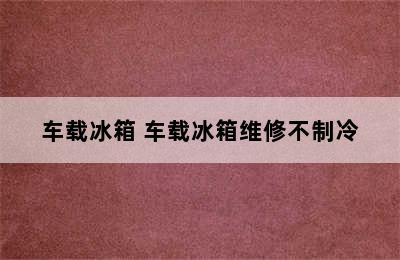 车载冰箱 车载冰箱维修不制冷